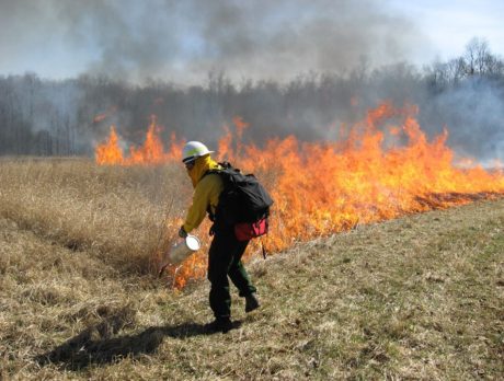 Smoke, ash may be visible from 575-acre prescribed burn