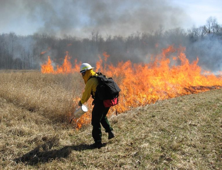 Smoke, ash may be visible from 575-acre prescribed burn - Vero News
