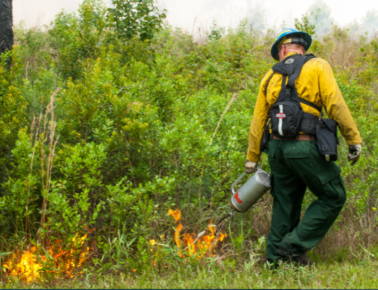 1,000-acre prescribed burn set for Wednesday in Fellsmere