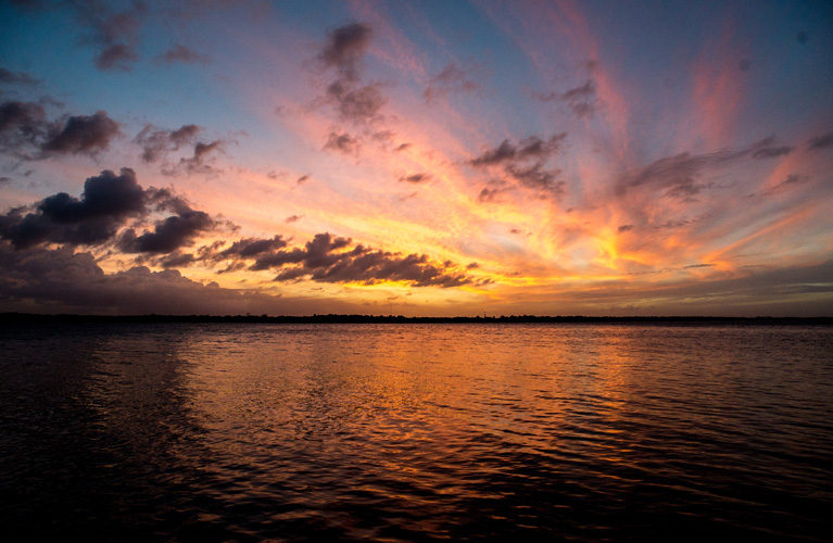 Lagoon scientist gets grant to seek federal protection for endangered fish species