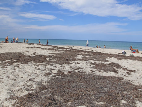 Wabasso Beach Park closed until April 30 for sand restoration