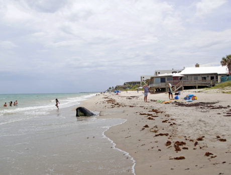 County to proceed with partial beach restoration on Barrier Island
