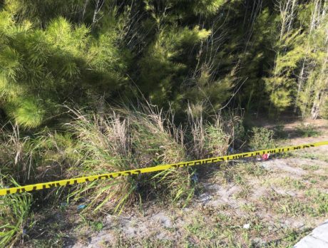 Man found dead in woods died from drug toxicity, autopsy report shows