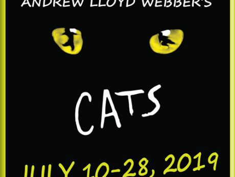 ‘Cats’ just scratches surface of intriguing Guild season
