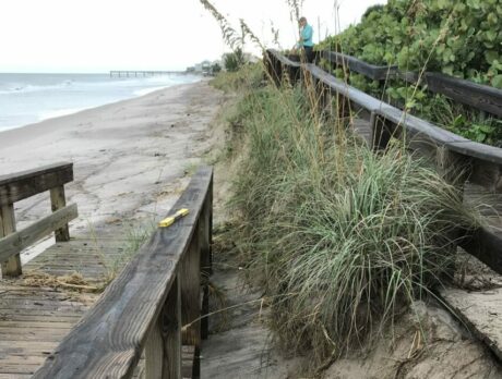 Tracking Station park set to close for beach repair