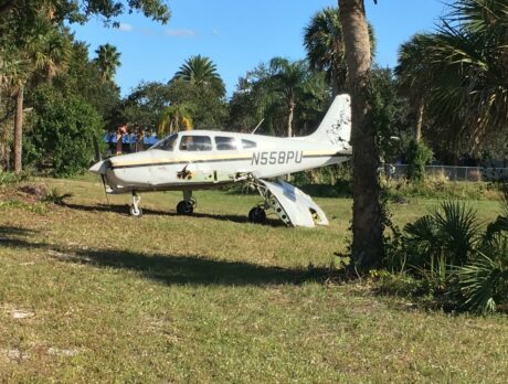No injuries after pilot crashes in open field