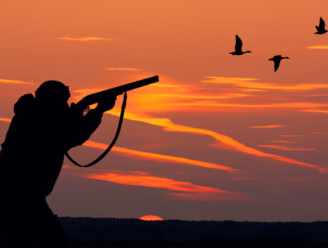 Great duck-hunting area close to the island calls to hunters