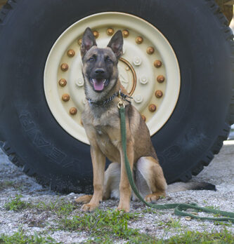 This amazing K-9 earns Bonz’s SEAL of approval
