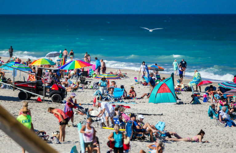 New November attendance record set at city beaches