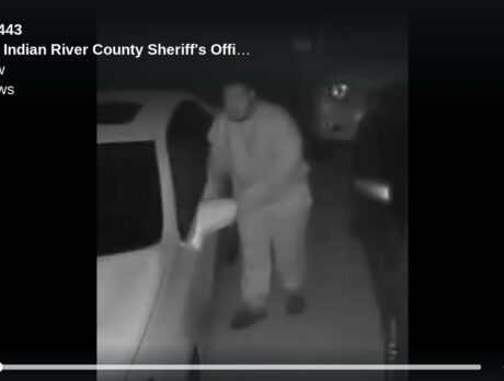 Tiptoe: Video captures shadowy figure checking doors in car burglary case