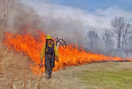Residents might see smoke from prescribed burn at state park
