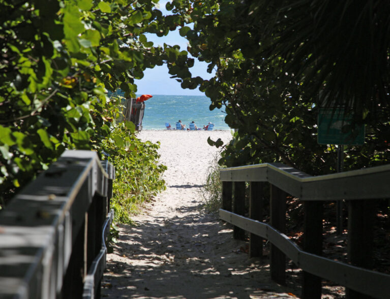 Slight dip in Jan. attendance record for city beaches