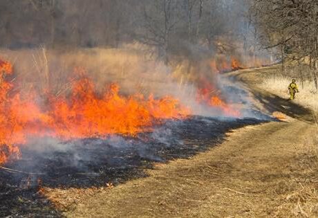 Motorists may see smoke from 530-acre prescribed burn