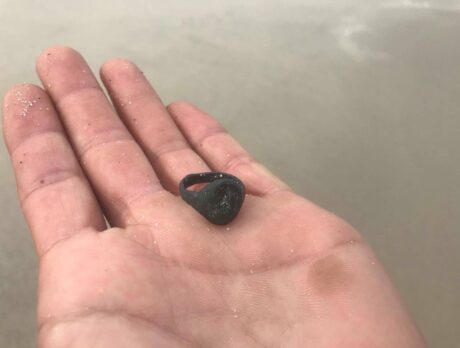 Ring could be ancient artifact from sunken 1715 Spanish Fleet, experts say