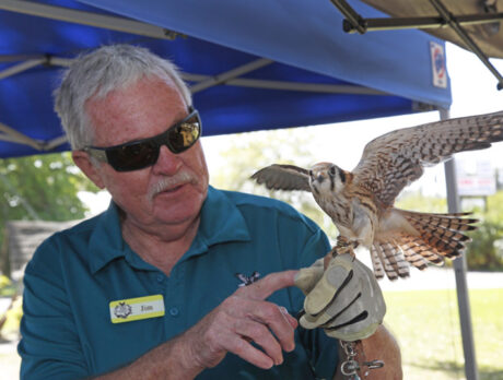 Pelican Island Wildlife Festival: Nature at its best