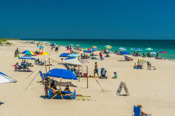 South Beach Park named No. 22 best beach in the world