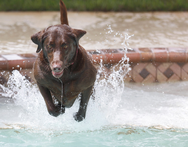 Bonz’s chat with bouncy Bailey goes swimmingly