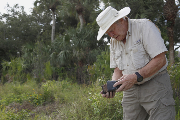 County Commission says qualified ‘yes’ to free native plant garden at county hall