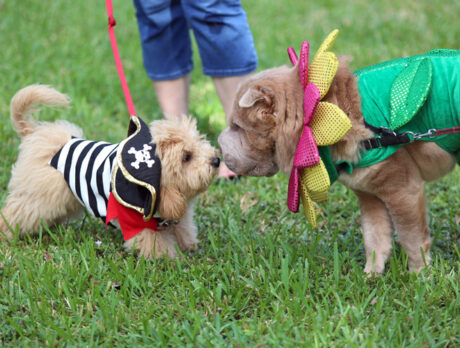 Bonz has a scary good time at ‘Howl-O-Ween’