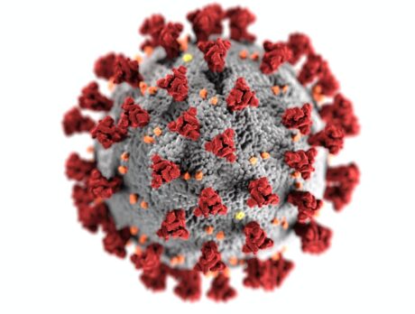 Coronavirus in IRC, May 17 update