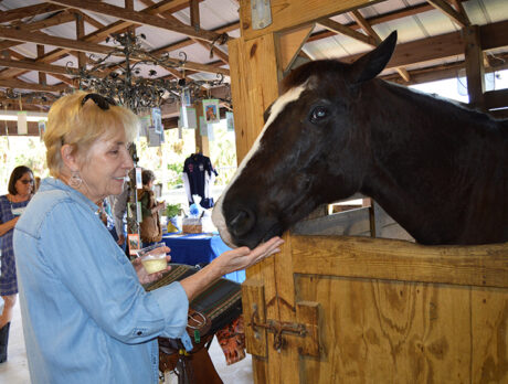 Yays and ‘neighs’ at Special Equestrians’ sizzling shindig