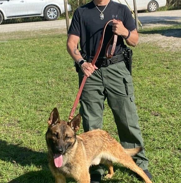 Sheriff’s K-9 dies after accidentally swallowing training aid