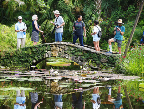 At McKee, all enthralled by wonders of waterlilies
