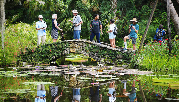 At McKee, all enthralled by wonders of waterlilies