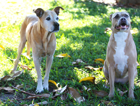 Bonz meets sweet, silly sisters Mandy and Athena