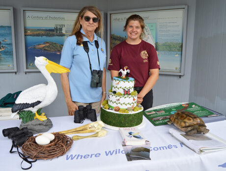 Pelican Island Wildlife Fest at birds’ home, tweet home