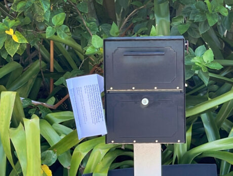 Unsigned political flyers illegally taped to Vero mailboxes