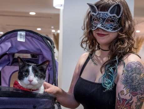 ‘Furry’ of activity at H.A.L.O.’s magnificent Masquerade Ball
