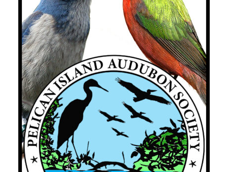 Saving Paradise GALA Pelican Island Audubon Society