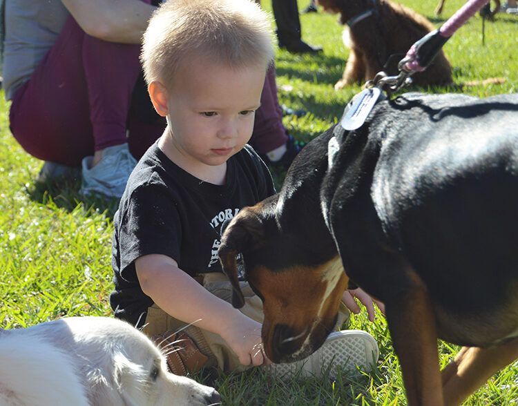 Back by pup-ular demand …  Humane Society’s ‘Bark in Park’!