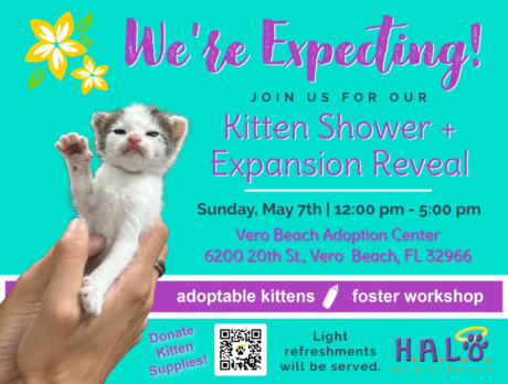 H.A.L.O.’s Kitten Shower