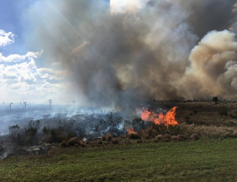 St. Johns District conducts more than 5,000-acre prescribed burn in Fellsmere