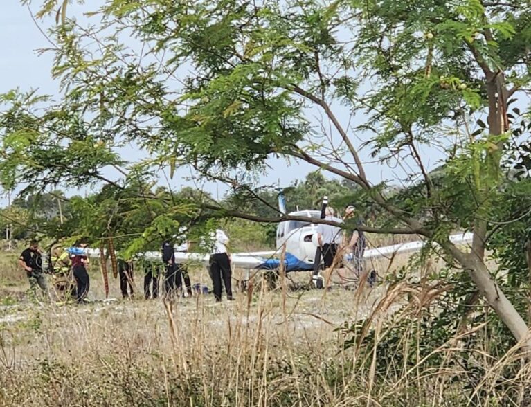 No injuries after plane makes emergency landing in field in Sebastian