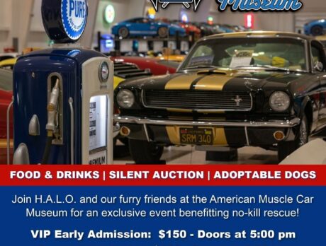 American Muscle Car Museum benefitting H.A.L.O.