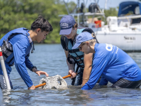 Marine science students from St. Ed’s get immersed in lagoon-health project