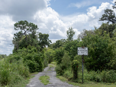 Medical examiners ID body found in woods near Old Dixie Highway