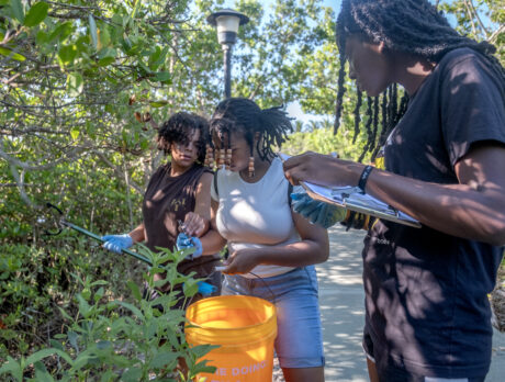 Haul of an effort as Coastal Cleanup volunteers ‘seas’ the day