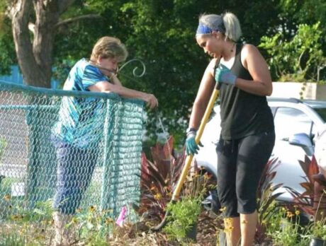 ‘Building community’: Volunteers gather to beautify Gifford garden