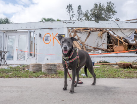 Sweetie and her Mama survive terrifying tornado