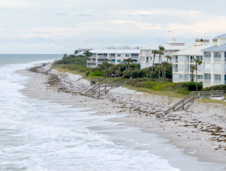 Beaches survived hurricane season largely unscathed