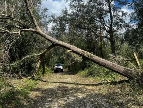 Deputies aid with relief efforts in Suwannee County after Hurricane Helene