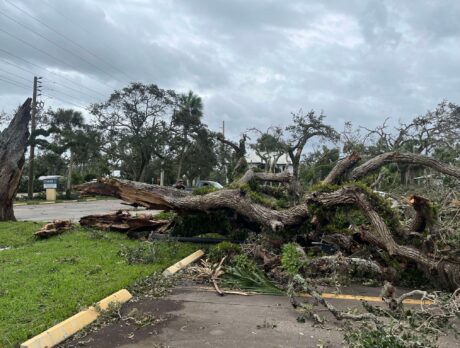 Tornado that formed in SLC hit Central Beach, meteorologists confirm