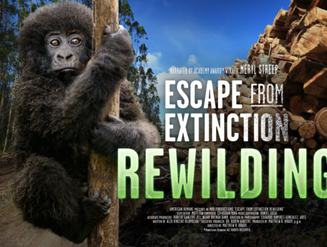 American Humane’s doc ‘Escape from Extinction Rewilding’ showing at The Majestic through Oct. 17