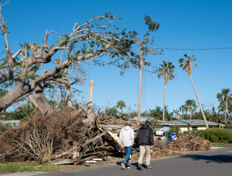 City has cleared vast majority of storm-related debris