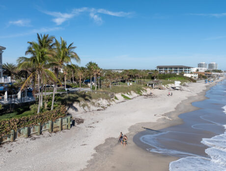 Wave of public support builds for boardwalk