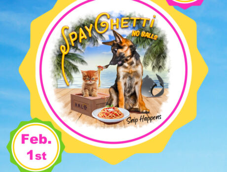 H.A.L.O.’s Spayghetti Festival